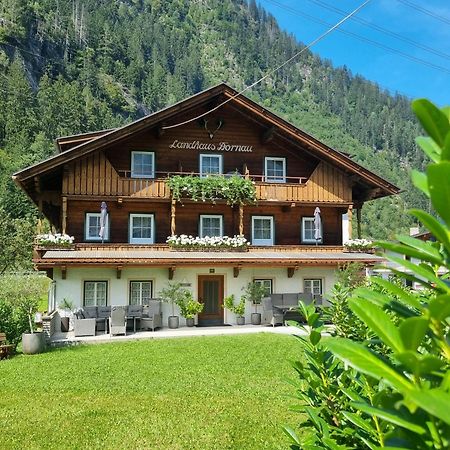 Landhaus Dornau Apartments Mayrhofen Exterior foto